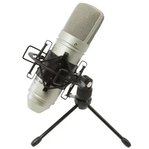 Tascam TM-80 silver condenser microphone on a tabletop stand