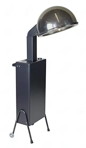 SKINACT hooded conditioning hair dryer with stand and timer