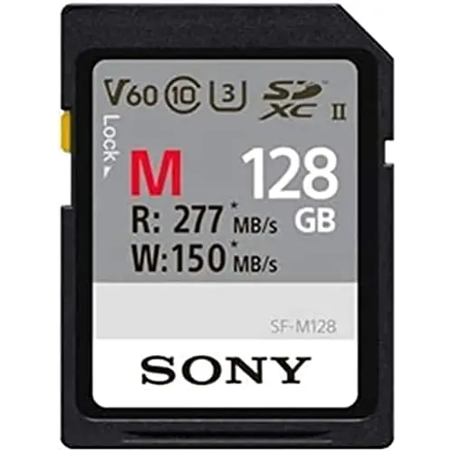 Sony M Series 128GB UHS-II SD card isolated on white