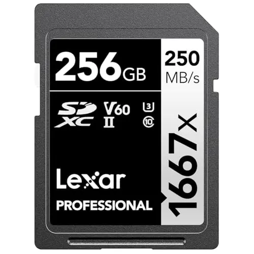 Lexar Professional 1667x SD card with high-speed branding