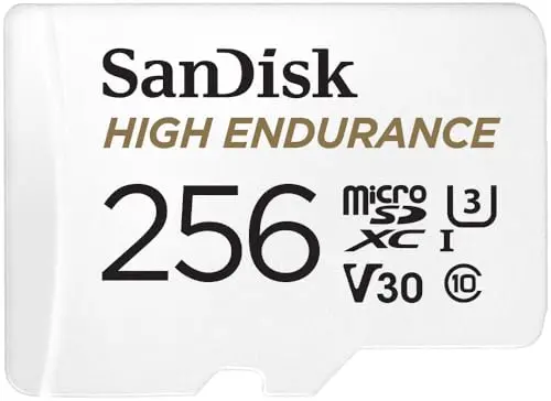 SanDisk 256GB High Endurance microSDXC card for dash cams