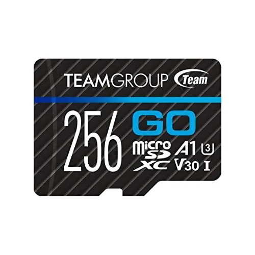 TEAMGROUP GO Card 256GB microSDXC for action cameras