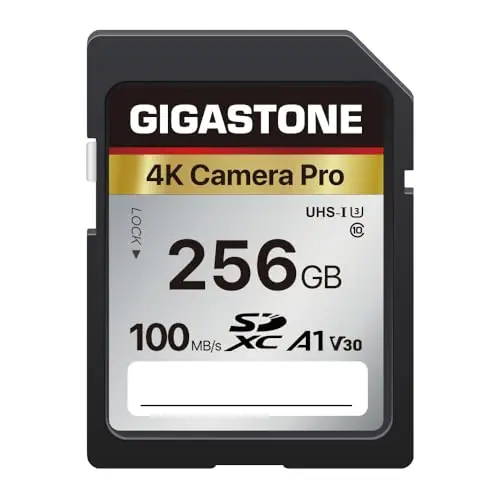GIGASTONE 256GB SD card V30 for 4K video recording in digital cameras