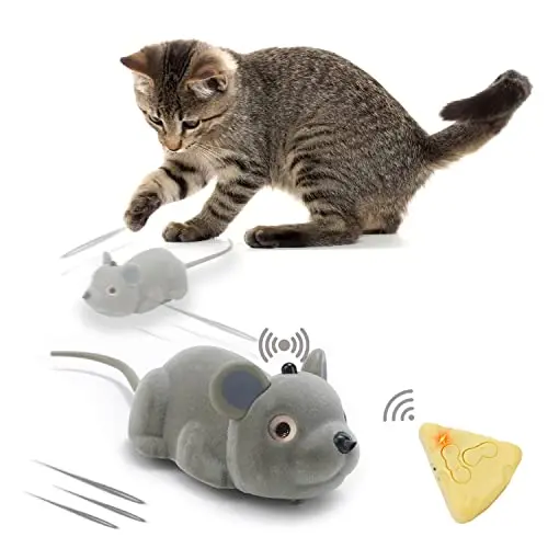 AMCHSURI gray remote control automatic moving cat toy mouse