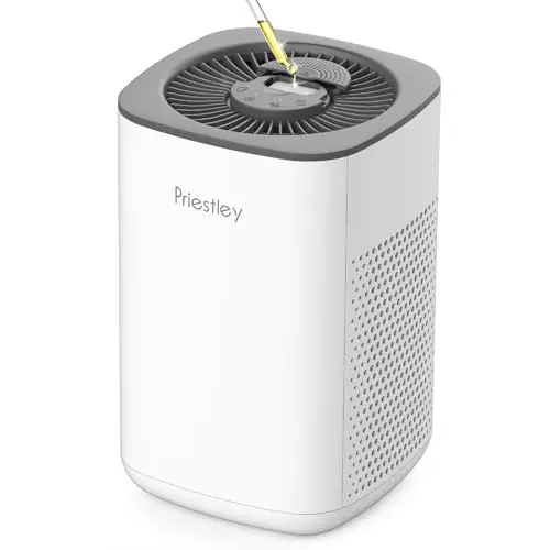 Priestley white air purifier with essential oil diffuser on top.