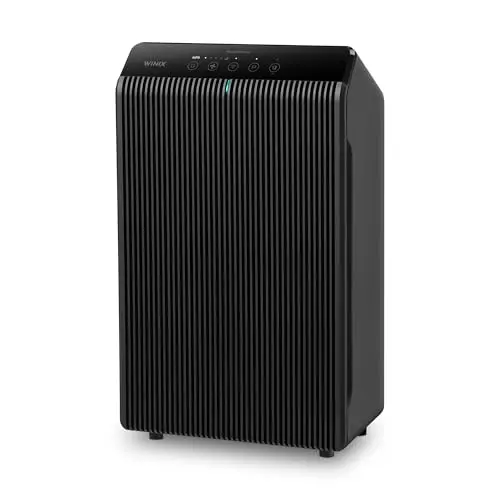 WINIX 5510 air purifier in charcoal gray with control panel