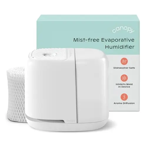 Canopy Bedside Humidifier 2.0 in white