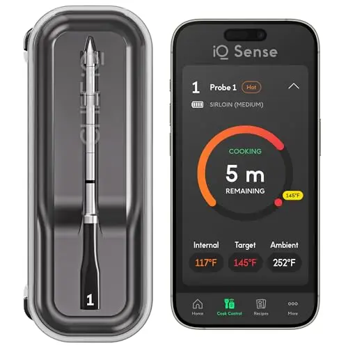 CHEF iQ Sense smart wireless meat thermometer with a stainless steel hub and a single probe.