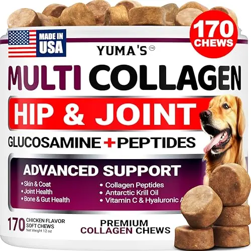 YUMA'S Advanced Collagen for Dogs soft chews