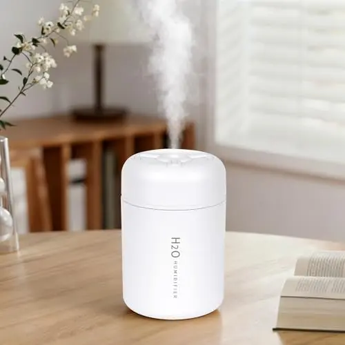 Riecin white mini humidifier with colorful LED lights